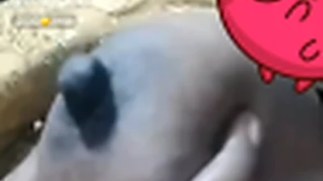 Telugu Rabbika chamet milky boobs show