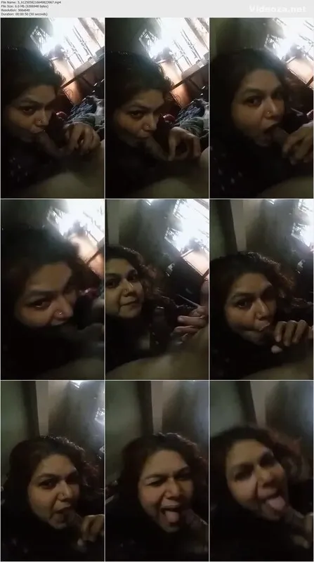 Desi milf sucking cock